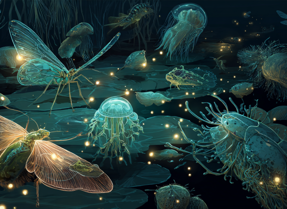 fireflyadmin_a_menagerie_of_bioluminescent_creatures_including__4e7e375c-c550-4d30-8e20-db45f981d133
