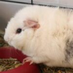 Profile photo of victorialt